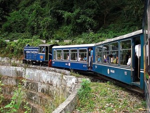 Darjeeling-Toy Train