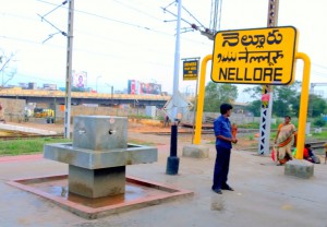 Nellore